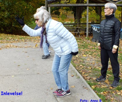 Boule i Folkparken 2020