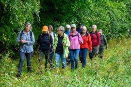Rapport promenad 31 aug 2026