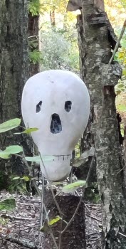 20231017 Vandring i Stigtomta