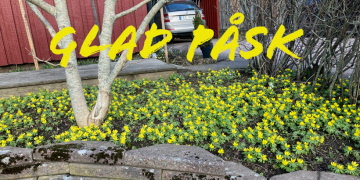 Från oss alla till er alla: GLAD PÅSK