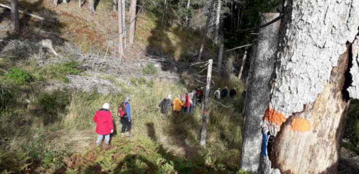 240913 Vandring till sjön Björken