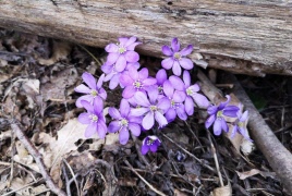 Ordföranden har ordet - April 2026