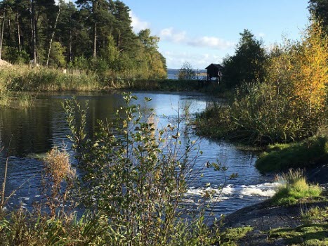 201009 Vandring på Brannäs våtmark, Oxelösund