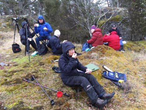 240411 Fågelskådning vid Hummelvik