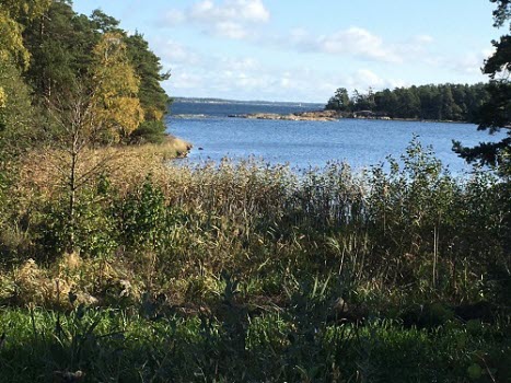 201009 Vandring på Brannäs våtmark, Oxelösund