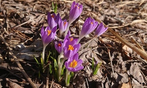 Friskvårdsdag med tema Tiden torsdagen den 9 april 2026