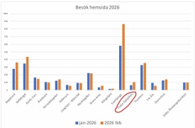 Statistik Hemsida
