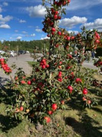 Uti det blå - hösten 2025 - bild 5.jpg