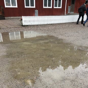 191122 Vandring vid IK Tun, Enstaberga