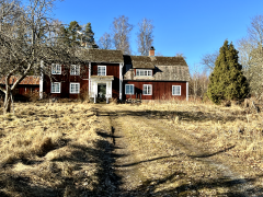Vad händer i sommar?
