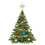 Julgransplundring torsdagen den 15 januari