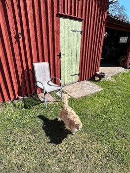 I Stjärnornas spår