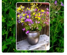 Midsommarhälsning från styrelsen