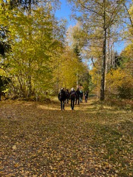 241017 Vandring runt Stavsjön