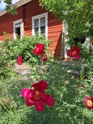 Se foton från resan till Västmanland 28 maj och nu vill vi ha tips om nya resmål!