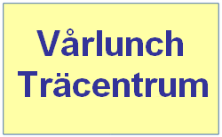 Vårlunch på Träcentrum
