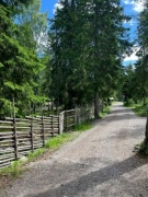 Vandring Norra Bergets Naturreservat 29 sept