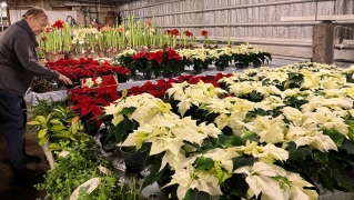 Referat från Åbytorps handelsträdgård med Passion hela livet