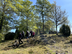 Måndagspromenad v 23