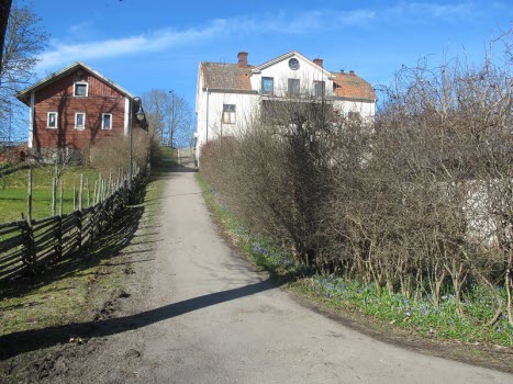 Vandring i Vråken