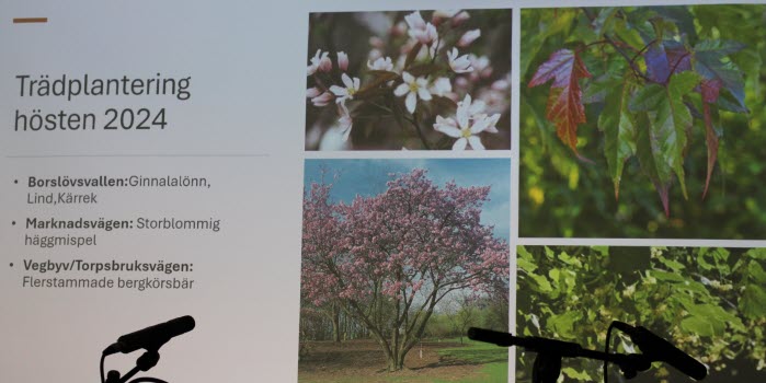 Alv Kommun Trädgård