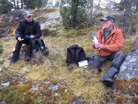 240411 Fågelskådning vid Hummelvik