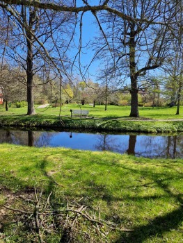 240507 Vandring runt Vuveholmssjön