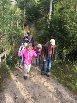 200925 Vandring vid OK Hällen