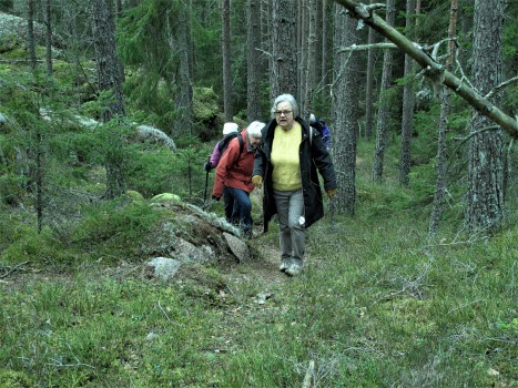 Natur- och kulturvandring
