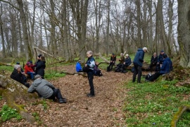 Naturspan 17 april 2026