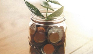 Föreläsning om bedrägeri