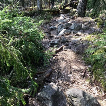 Vandring Trollberget