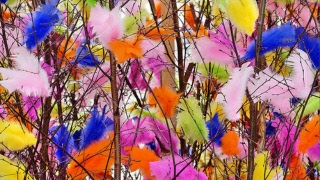 Påminnelse Månadsmöte!!