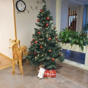 Canasta på Träffpunkt Sävstagården, årets sista torsdag 11/12 kl 14.00