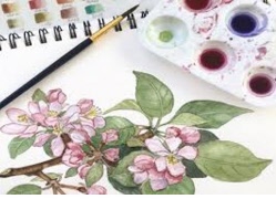 Nybörjarkurs i akvarellmåleri.