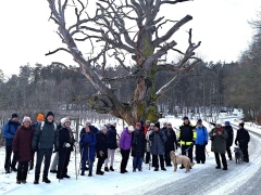 Sundbyholm lockade 28