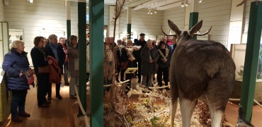 Julmarknad och älgar