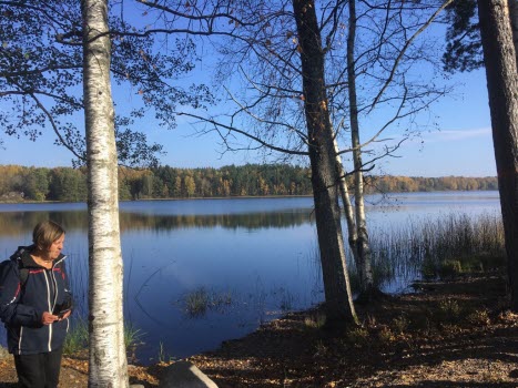 221014 Vandring runt Stavsjön