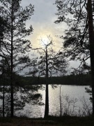 Nu tar tisdagsvandringarna vinterpaus