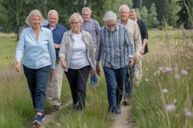 Promenera i det fina vädret!