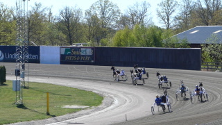20260509 Travgruppens besök Kalmar Travbana