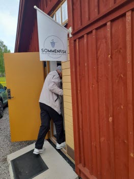 Sommenfisk
