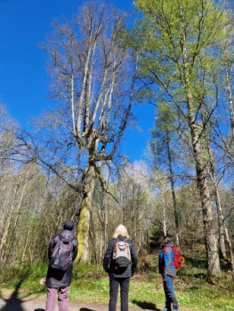 240507 Vandring Duveholm