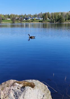 240507 Vandring runt Vuveholmssjön