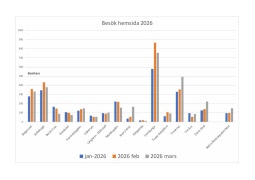 Statistik Hemsida