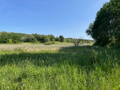 Kulturhistorisk promenad Katrinevik 12 juni