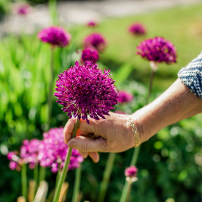 Stiftelsen Sannes Minne