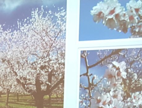 Månadsmöte 1 april 2019.