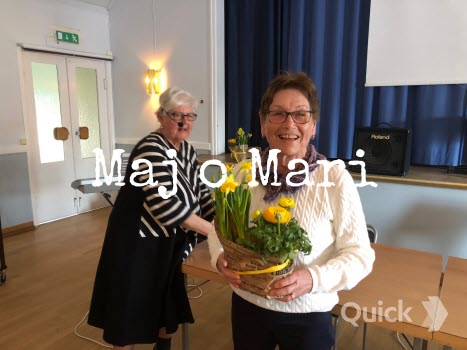 Årsmöte