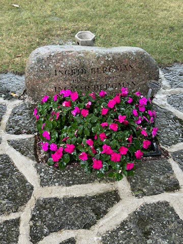 2026-08-17 Gotlandsresa Bild21.jpg